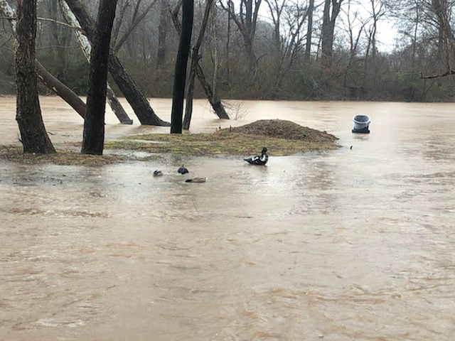 0206 CM flash flooding (28).jpg